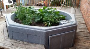 hot tub repurposed into a flower pot