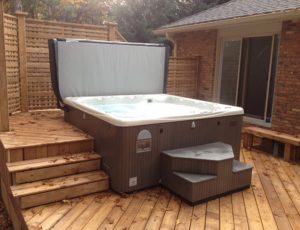 exterminate ants from your beachcomber hot tub